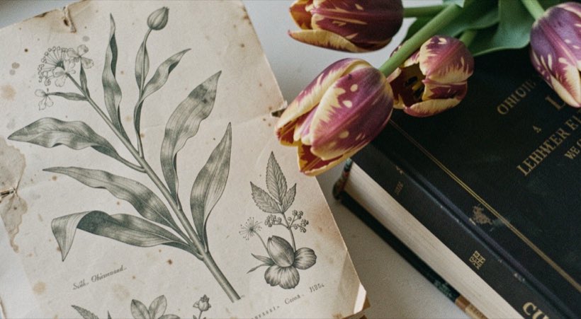 A faded botanical print and patterned tulips beside a closed history book